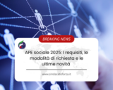 APE sociale 2025: I requisiti, le modalità di richiesta e le ultime novità