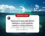 Riconoscimento del danno biologico: cos’è, quando spetta e come ottenerlo