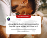 Abbandono di animali: responsabilità legali e come evitare errori comuni
